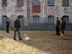 IMG_1266.JPG