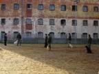 IMG_1264.JPG