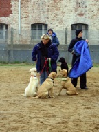 IMG_1281.JPG
