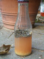 CIMG0307.JPG