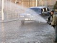 PA290006.JPG
