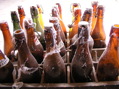 PB120065.JPG