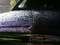 PB160086.JPG